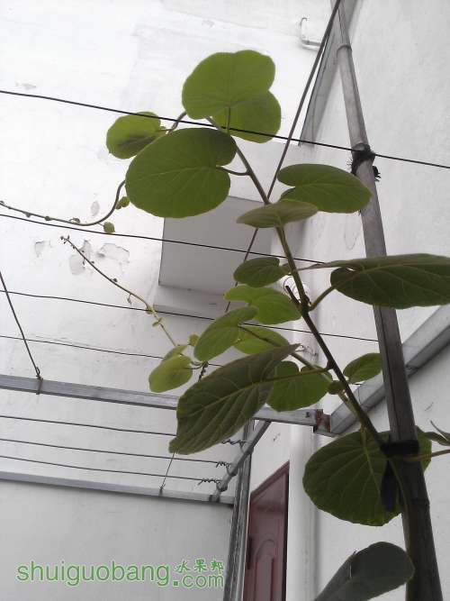 WP_002562.jpg