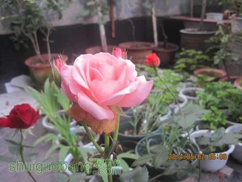 2014.2.164225.jpg