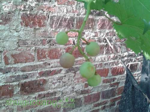 20140603_173057.jpg