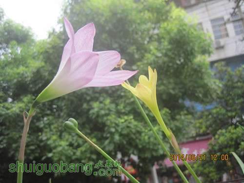 IMG_4533.jpg