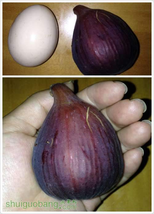 image.jpg