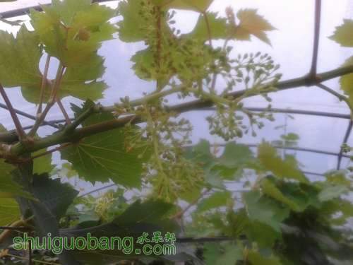 20140718_173816.jpg