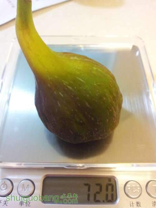 ɳ4.jpg