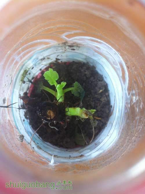 2014-07-23 165256.jpg