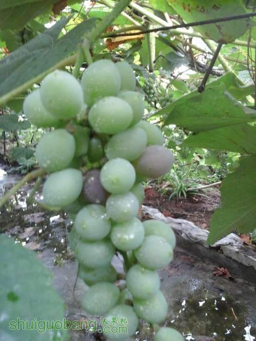 20140705_163119.jpg