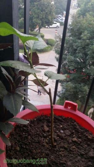 QQͼƬ20140723084305.jpg