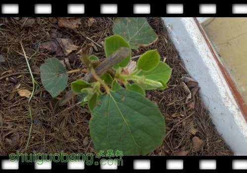2014-07-22_11-53-03_782.jpg