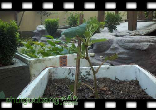 2014-07-22_11-53-36_773.jpg
