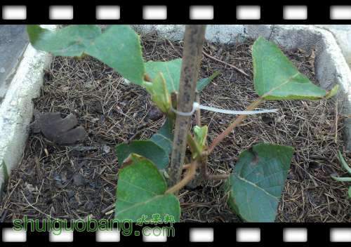 2014-07-22_11-53-57_187.jpg