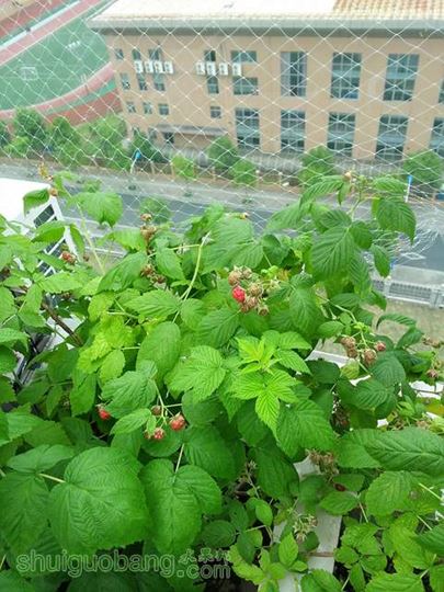 20140513_123051.jpg
