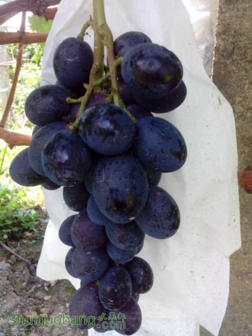 QQͼƬ20140726122155.jpg