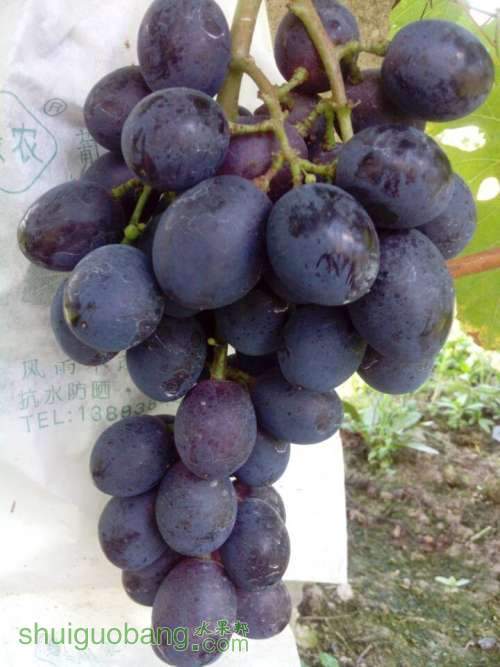 QQͼƬ20140726122148.jpg