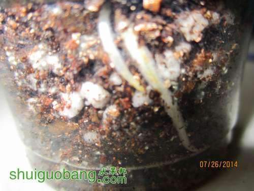05.jpg