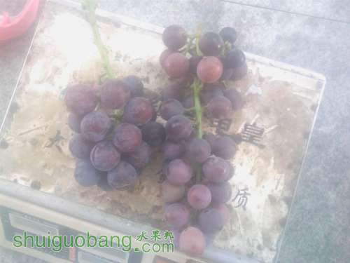 IMG0727073200.jpg