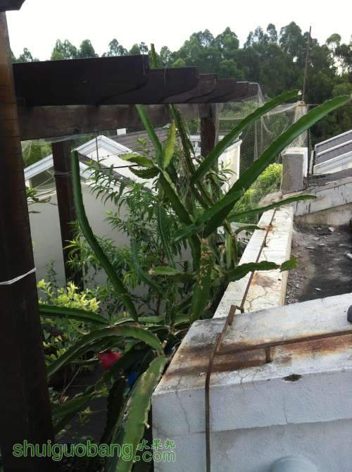 2014-07-26 070210.jpg