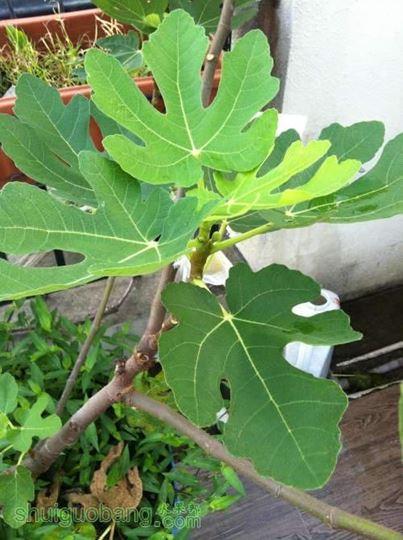 2014-07-26 065658.jpg