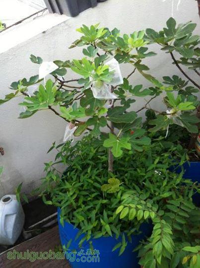 2014-07-26 065908.jpg