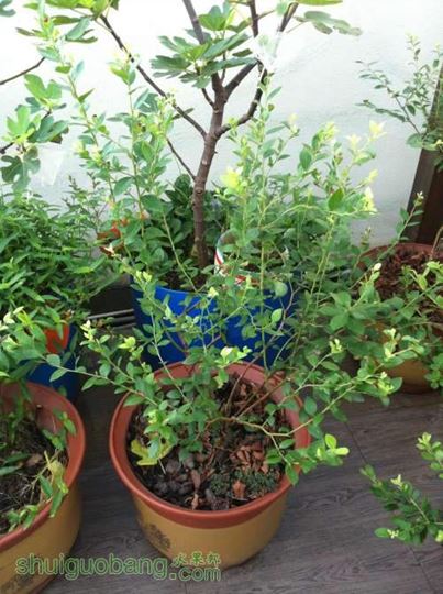 2014-07-26 065739.jpg