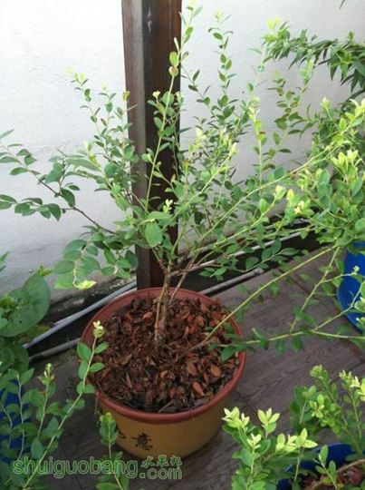 2014-07-26 065744.jpg