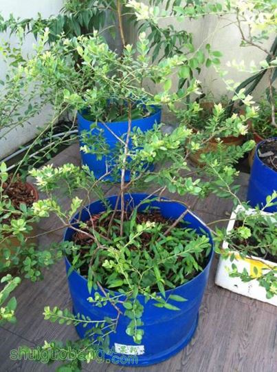 2014-07-26 065749.jpg