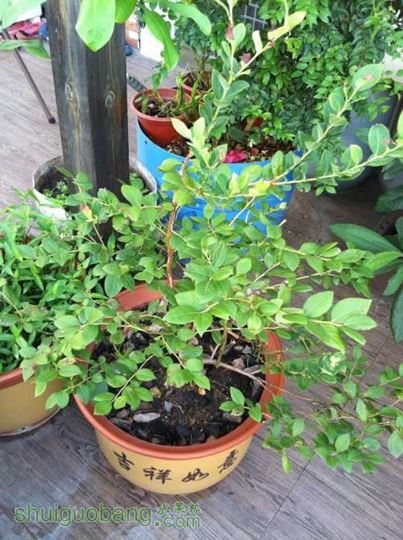 2014-07-26 065935.jpg