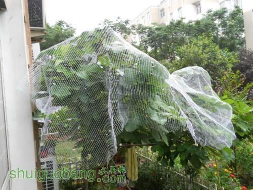 DSCN2060.JPG