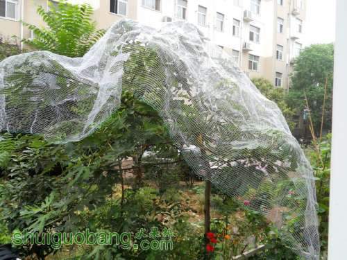 DSCN2061.JPG