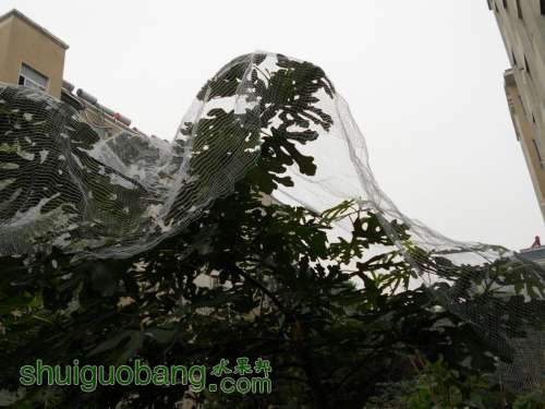 DSCN2062.JPG