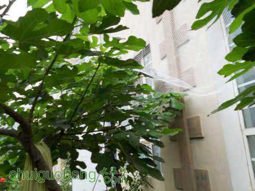 DSCN2066.JPG