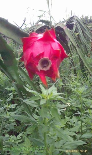 IMAG0144.jpg