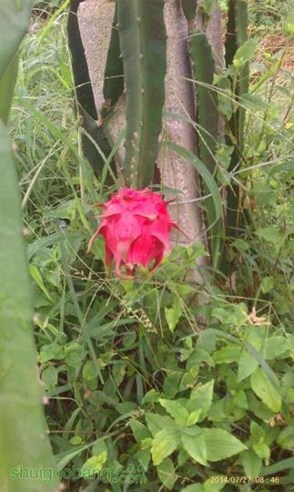 IMAG0146.jpg