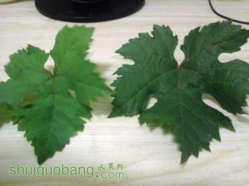 20140730_225335 (1).jpg