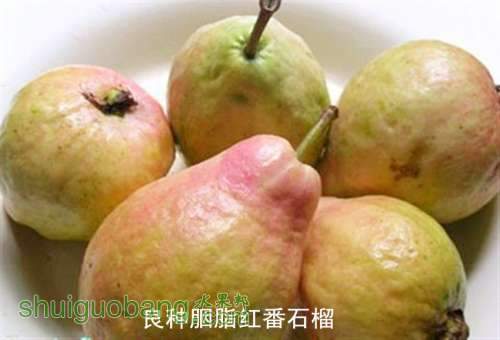 xiangxing_201203070338363079.jpg