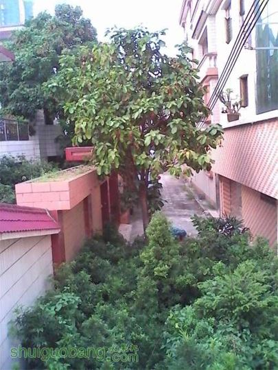 IMG_20140731_180624_ͼ.jpg