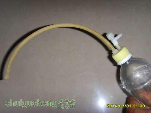 SSL20686.JPG