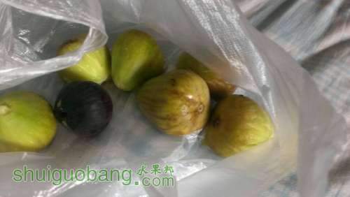 QQͼƬ20140801121610.jpg