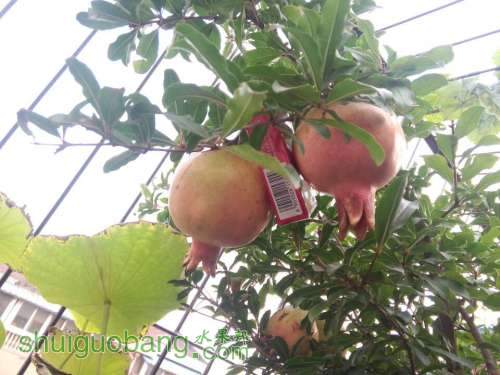 QQͼƬ20140801183202.jpg