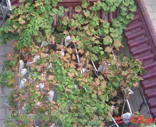 DSC02494_2345ͼ.JPG