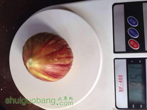 QQͼƬ20140803210242.jpg