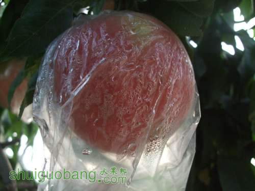 201484¶󴡢ƽ󴡢Եۡ첻 001.jpg