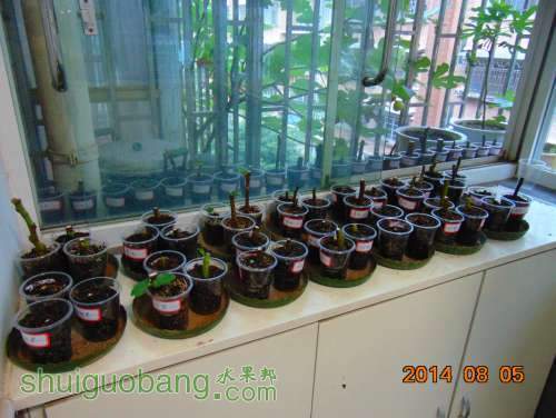 DSC00050_����.jpg
