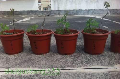 QQͼƬ20140805191415.jpg