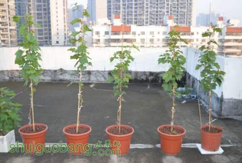 QQͼƬ20140725064234.jpg