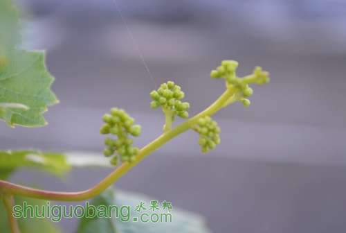 QQͼƬ20140725064013.jpg
