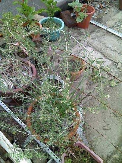 0806_142444.jpg