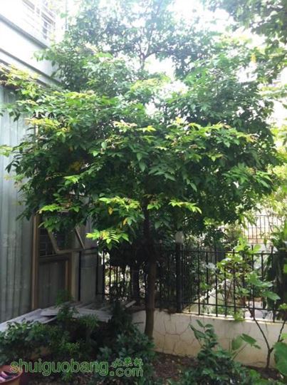 2014-08-06 080735.jpg