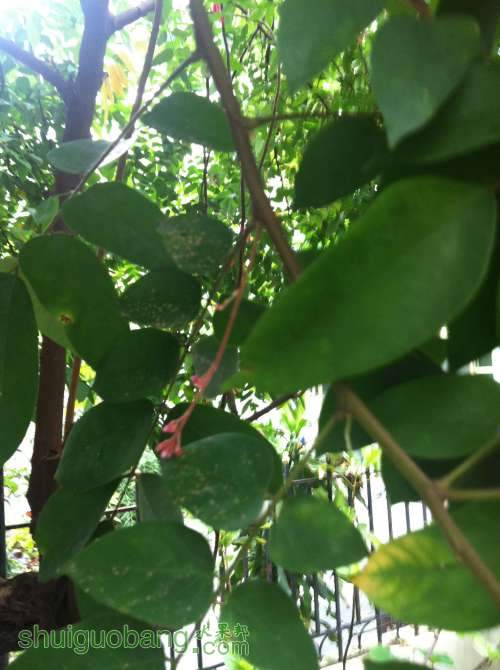 2014-08-06 080746.jpg