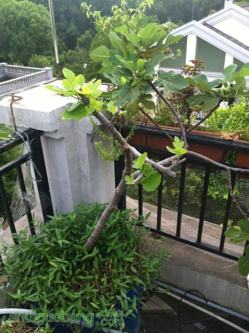 2014-08-06 070925.jpg