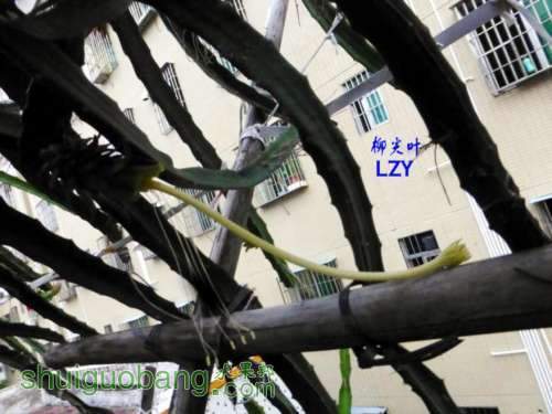 4.�ڷ�ǰ08-07.JPG