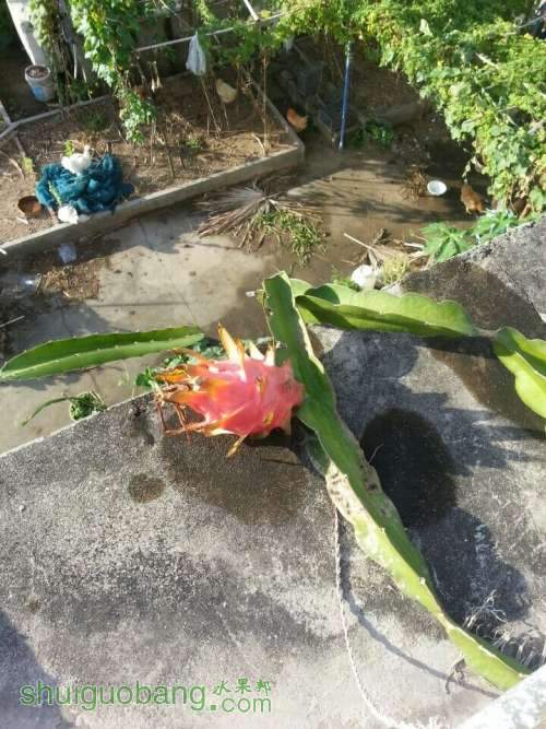 QQͼƬ20140809202904.jpg